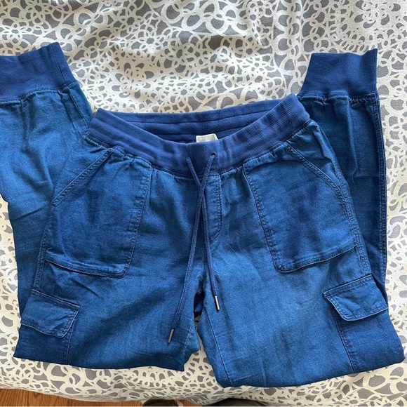 ARITZIA COMMUNITY BLUE CEBU PANT JOGGERS - Picture 3 of 10